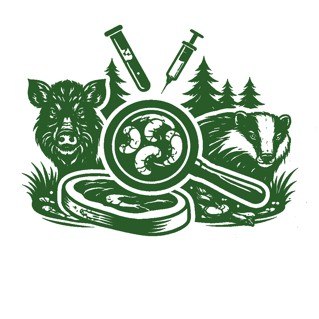 Trichinenuntersuchung