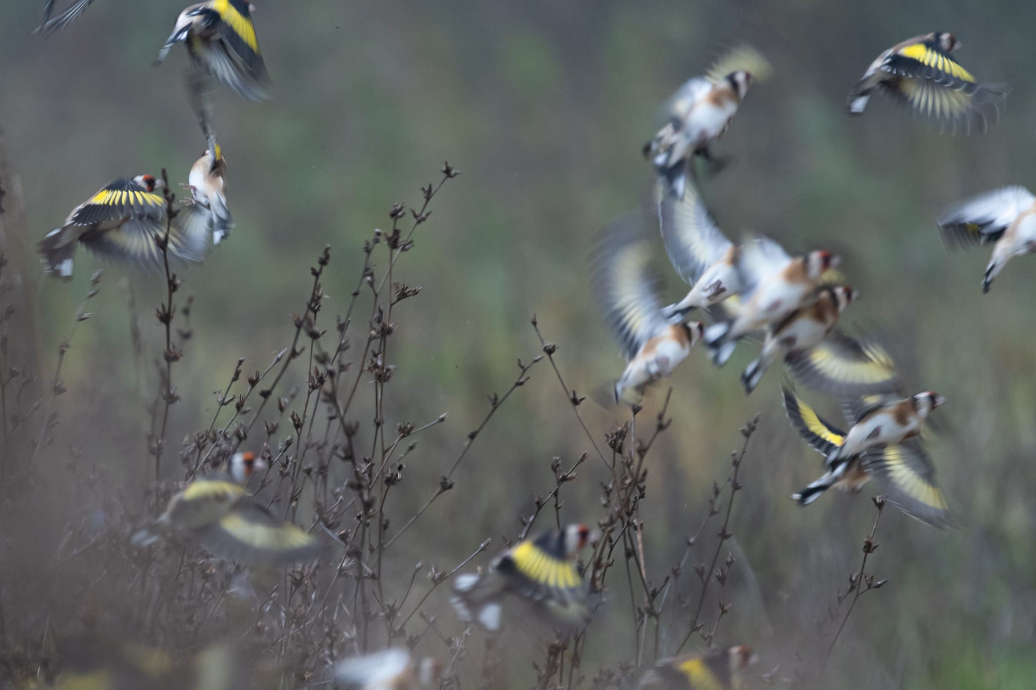 Gemeinschaft im Jagdverein