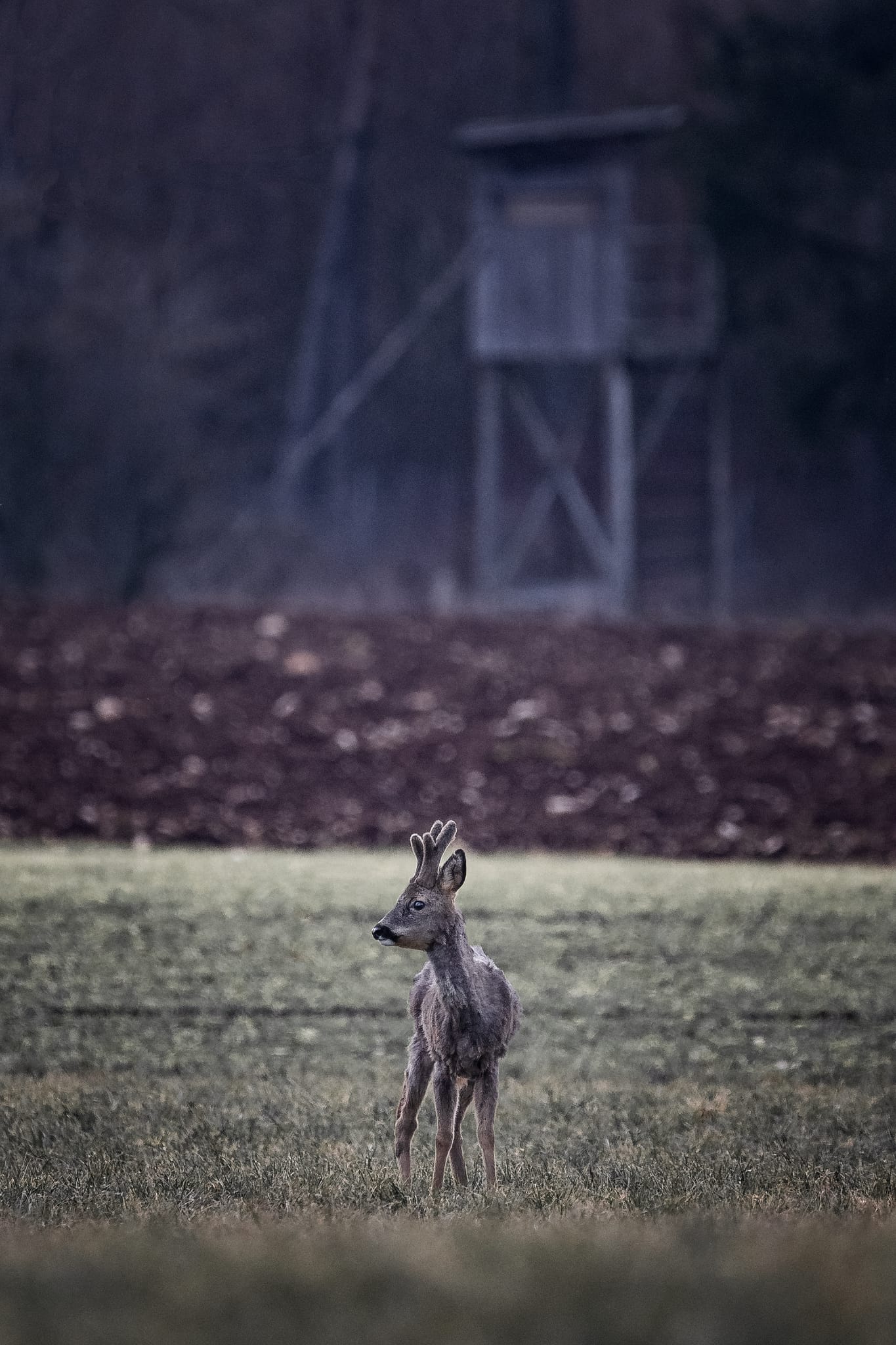 Jagdverein Gunzenhausen